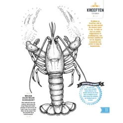 Fontaine Uitgevers Doe-boek Onderwater 8 Fontaine Uitgevers Doe-boek Onderwater -Kinderboek Winkel fontaine uitgevers doe boek onderwater 4