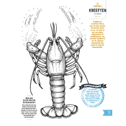 Fontaine Uitgevers Doe-boek Onderwater 3 Fontaine Uitgevers Doe-boek Onderwater - Afbeelding 3