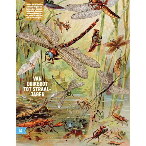 Fontaine Uitgevers Doe-boek Onderwater 4 Fontaine Uitgevers Doe-boek Onderwater - Afbeelding 4