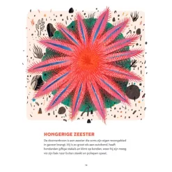 Fontaine Uitgevers Het Grote Rif -Kinderboek Winkel fontaine uitgevers het grote rif 8