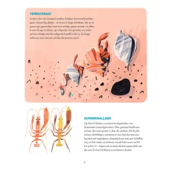 Fontaine Uitgevers Het Grote Rif -Kinderboek Winkel fontaine uitgevers het grote rif 9