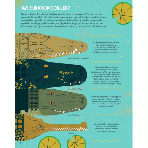 Fontaine Uitgevers Superchille Krokodillen 2 Fontaine Uitgevers Superchille Krokodillen - Afbeelding 2