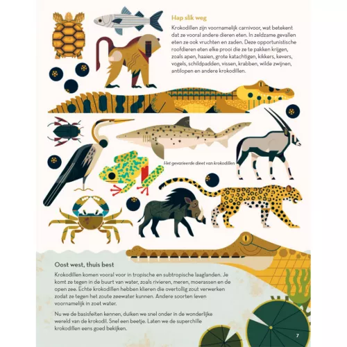 Fontaine Uitgevers Superchille Krokodillen 3 Fontaine Uitgevers Superchille Krokodillen - Afbeelding 3