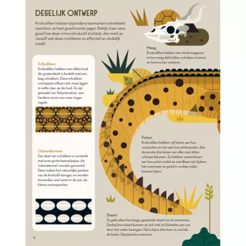 Fontaine Uitgevers Superchille Krokodillen 4 Fontaine Uitgevers Superchille Krokodillen - Afbeelding 4