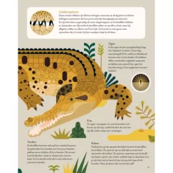 Fontaine Uitgevers Superchille Krokodillen 10 Fontaine Uitgevers Superchille Krokodillen -Kinderboek Winkel fontaine uitgevers superchille krokodillen 6