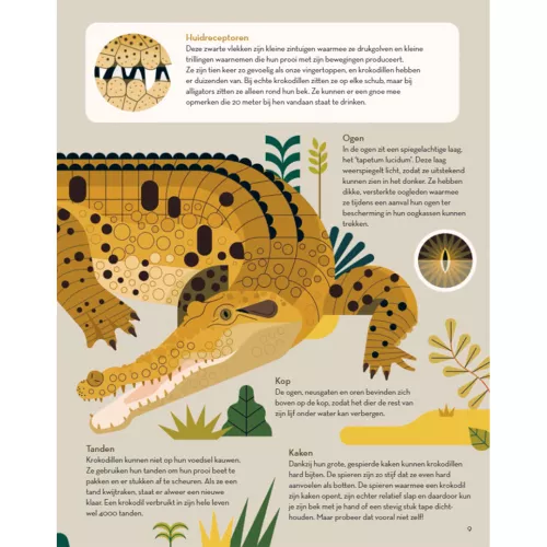 Fontaine Uitgevers Superchille Krokodillen 5 Fontaine Uitgevers Superchille Krokodillen - Afbeelding 5