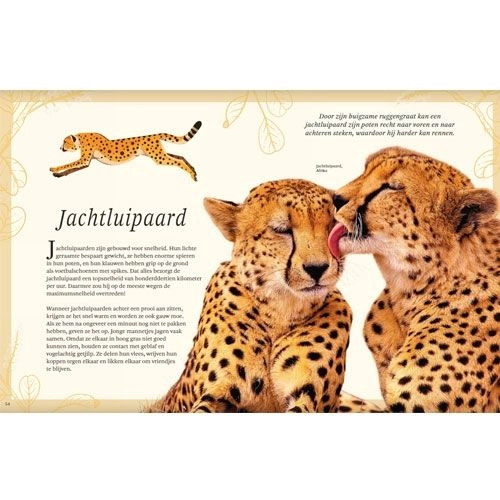 Uitgeverij Lannoo Het Dikke Boek Van Alle Bijzondere Dieren 2 Uitgeverij Lannoo Het Dikke Boek Van Alle Bijzondere Dieren - Afbeelding 2