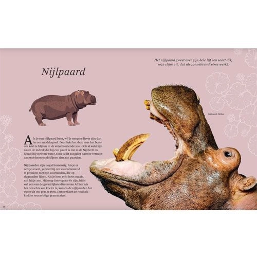 Uitgeverij Lannoo Het Dikke Boek Van Alle Bijzondere Dieren 3 Uitgeverij Lannoo Het Dikke Boek Van Alle Bijzondere Dieren - Afbeelding 3