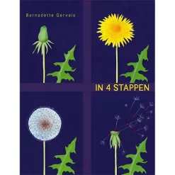 Standaard Uitgeverij Kartonboek In 4 Stappen