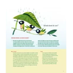 Uitgeverij Lannoo Geluk Voor Kinderen - Feest -Kinderboek Winkel uitgeverij lannoo geluk voor kinderen feest 6