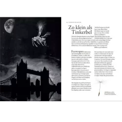 Uitgeverij Lannoo Het Wonderlijke Insectenboek 10 Uitgeverij Lannoo Het Wonderlijke Insectenboek -Kinderboek Winkel uitgeverij lannoo het wonderlijke insectenboek 1