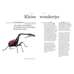 Uitgeverij Lannoo Het Wonderlijke Insectenboek 11 Uitgeverij Lannoo Het Wonderlijke Insectenboek -Kinderboek Winkel uitgeverij lannoo het wonderlijke insectenboek