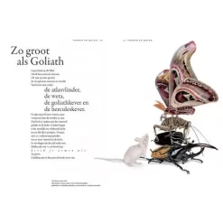 Uitgeverij Lannoo Het Wonderlijke Insectenboek 8 Uitgeverij Lannoo Het Wonderlijke Insectenboek -Kinderboek Winkel uitgeverij lannoo het wonderlijke insectenboek 3