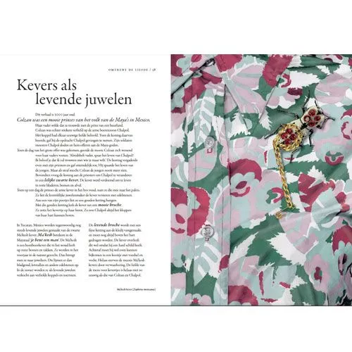 Uitgeverij Lannoo Het Wonderlijke Insectenboek 2 Uitgeverij Lannoo Het Wonderlijke Insectenboek - Afbeelding 2