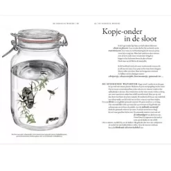 Uitgeverij Lannoo Het Wonderlijke Insectenboek 9 Uitgeverij Lannoo Het Wonderlijke Insectenboek -Kinderboek Winkel uitgeverij lannoo het wonderlijke insectenboek 7