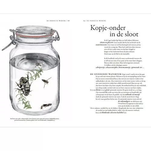 Uitgeverij Lannoo Het Wonderlijke Insectenboek 4 Uitgeverij Lannoo Het Wonderlijke Insectenboek - Afbeelding 4