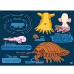 Uitgeverij Lannoo Onder De Grond En Onder Water -Kinderboek Winkel uitgeverij lannoo onder de grond en onder water 1