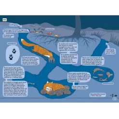 Uitgeverij Lannoo Onder De Grond En Onder Water -Kinderboek Winkel uitgeverij lannoo onder de grond en onder water 3