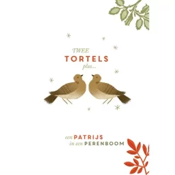 Uitgeverij Christofoor De Twaalf Dagen Met Kerstmis -Kinderboek Winkel uitgeverij christofoor de twaalf dagen met kerstmis 10