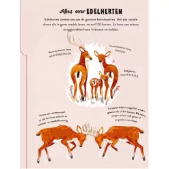 Uitgeverij Christofoor Een Woud Vol Wonderen -Kinderboek Winkel uitgeverij christofoor een woud vol wonderen 2