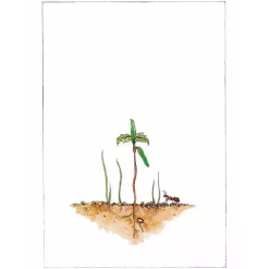 Uitgeverij Christofoor Het Begint Met Een Zaadje -Kinderboek Winkel uitgeverij christofoor het begint met een zaadje 10