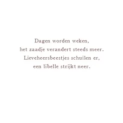 Uitgeverij Christofoor Het Begint Met Een Zaadje -Kinderboek Winkel uitgeverij christofoor het begint met een zaadje 11