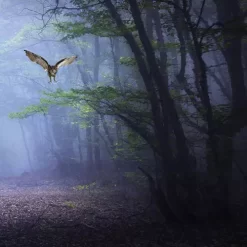 Uitgeverij Clavis Wow! De Wonderen Van Het Bos -Kinderboek Winkel uitgeverij clavis wow de wonderen van het bos 4