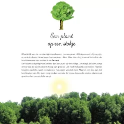 Uitgeverij Clavis Wow! De Wonderen Van Het Bos -Kinderboek Winkel uitgeverij clavis wow de wonderen van het bos 7