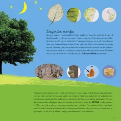 Uitgeverij Clavis Wow! De Wonderen Van Het Bos -Kinderboek Winkel uitgeverij clavis wow de wonderen van het bos 8