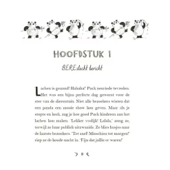 Uitgeverij Condor Een Panda Voor Mijn Verjaardag 12 Uitgeverij Condor Een Panda Voor Mijn Verjaardag -Kinderboek Winkel uitgeverij condor een panda voor mijn verjaardag 4