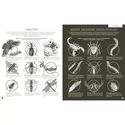 Uitgeverij Davidsfonds Insectorama -Kinderboek Winkel uitgeverij davidsfonds insectorama 1