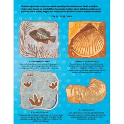 Uitgeverij Davidsfonds Kunnen Dinosauriërs Ook Paars Zijn -Kinderboek Winkel uitgeverij davidsfonds kunnen dinosauri rs ook paars zijn 7