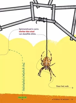 Uitgeverij Lannoo Factopedia Volg Het Pad Langs 400 Weetjes -Kinderboek Winkel uitgeverij lannoo volg het pad langs 400 weetjes 11