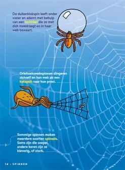 Uitgeverij Lannoo Factopedia Volg Het Pad Langs 400 Weetjes -Kinderboek Winkel uitgeverij lannoo volg het pad langs 400 weetjes 12