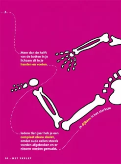 Uitgeverij Lannoo Factopedia Volg Het Pad Langs 400 Weetjes -Kinderboek Winkel uitgeverij lannoo volg het pad langs 400 weetjes 8