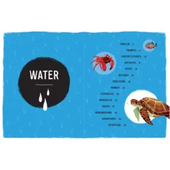 Uitgeverij Lemniscaat Gek, Gaaf, Geweldig! 10 Uitgeverij Lemniscaat Gek, Gaaf, Geweldig! -Kinderboek Winkel uitgeverij lemniscaat gek gaaf geweldig 6