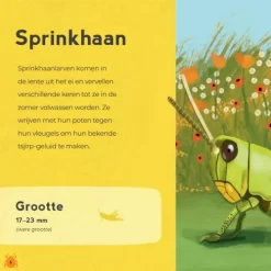 Uitgeverij Lemniscaat Mijn Eerste Kriebelbeestjesboek -Kinderboek Winkel uitgeverij lemniscaat mijn eerste kriebelbeestjesboek 6