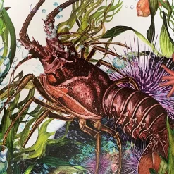 Uitgeverij Lemniscaat Waterwerelden -Kinderboek Winkel uitgeverij lemniscaat waterwerelden 4