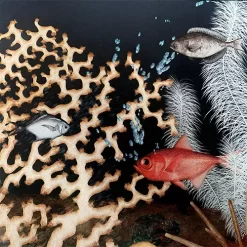 Uitgeverij Lemniscaat Waterwerelden -Kinderboek Winkel uitgeverij lemniscaat waterwerelden 9