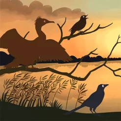 Uitgeverij Moon Het Dikke Vogelboek -Kinderboek Winkel uitgeverij moon het dikke vogelboek 3