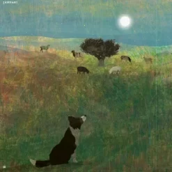 Uitgeverij Ploegsma Een Wonderprachtig Dier -Kinderboek Winkel uitgeverij ploegsma een wonderpachtig dier7