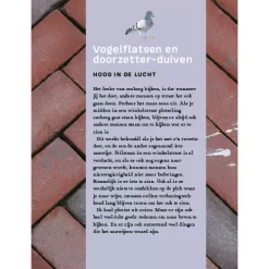 Uitgeverij Ploegsma Perronpapegaaien En Krekel-criminelen -Kinderboek Winkel uitgeverij ploegsma perronpapegaaien en krekel criminelen 13