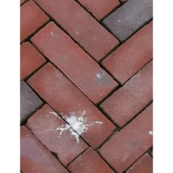 Uitgeverij Ploegsma Perronpapegaaien En Krekel-criminelen -Kinderboek Winkel uitgeverij ploegsma perronpapegaaien en krekel criminelen 14