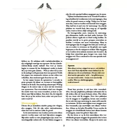 Uitgeverij Ploegsma Perronpapegaaien En Krekel-criminelen -Kinderboek Winkel uitgeverij ploegsma perronpapegaaien en krekel criminelen 17