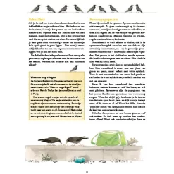 Uitgeverij Ploegsma Perronpapegaaien En Krekel-criminelen -Kinderboek Winkel uitgeverij ploegsma perronpapegaaien en krekel criminelen 18