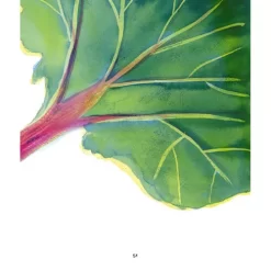 Uitgeverij Ploegsma Van Honingbij Tot Hagelslag -Kinderboek Winkel uitgeverij ploegsma van honingbij tot hagelslag 10