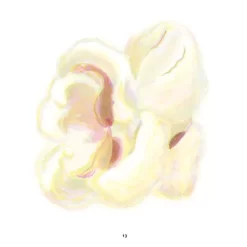 Uitgeverij Ploegsma Van Honingbij Tot Hagelslag -Kinderboek Winkel uitgeverij ploegsma van honingbij tot hagelslag 6