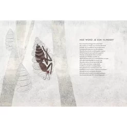 Uitgeverij Querido Toen Rups Een Vlinder Werd -Kinderboek Winkel uitgeverij querido toen rups een vlinder werd 8