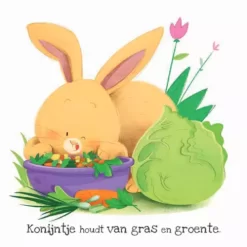 Uitgeverij Rebo Voelboek Wat Vindt Konijntje Leuk? -Kinderboek Winkel uitgeverij rebo voelboek wat vindt konijntje leuk 3