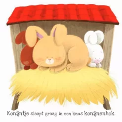 Uitgeverij Rebo Voelboek Wat Vindt Konijntje Leuk? -Kinderboek Winkel uitgeverij rebo voelboek wat vindt konijntje leuk 5
